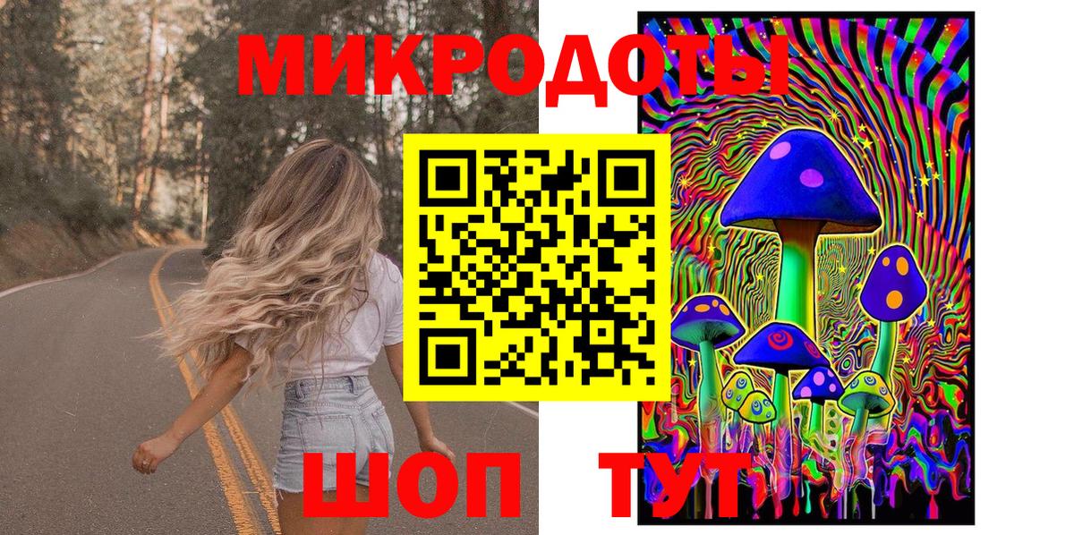 Асино  Псилоцибиновые грибы Psilocybe  Вход с VPN 